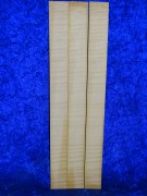 old Violinribs 2969