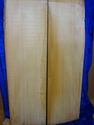 Fichte 2991 Bass