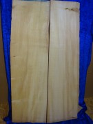 Fichte 2992 Bass