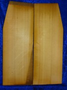 Fichte 3046 Gitarre Nachlass Hasel