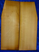 Fichte 3046 Gitarre Nachlass Hasel