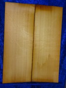 Spruce 3047 Guitar estate bearclaw