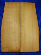 Spruce 3065 Guitar estate bearclaw