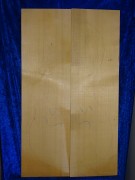 alte Fichte 3077