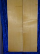 alte Fichte 3077