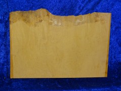 Schwarte 3118