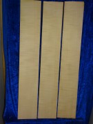 Celloribs 3165 from estate