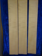 Celloribs 3166 from estate