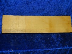 alte gespaltene Fichte 3179