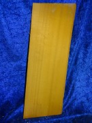 very old spruce 3184