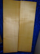 Ahorn 3299 aus Nachlass