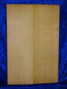 alte Fichte 3317 aus Nachlass