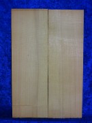 alte Fichte 3322 aus Nachlass