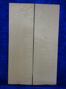 Spruce 3534 bearclaw