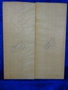 Spruce 3562 Guitar estate bearclaw