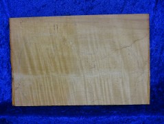 ganzer Ahorn 3600 aus Nachlass