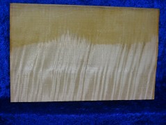 ganzer Ahorn 3600 aus Nachlass