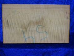 ganzer Ahorn 3601 aus Nachlass