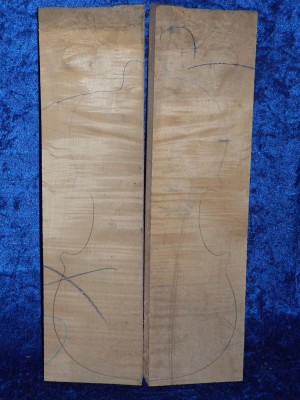 Ahorn 3455 aus Nachlass