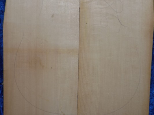 old Spruce 4117 Cello bearclaw