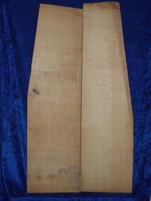 old Spruce 4117 Cello bearclaw