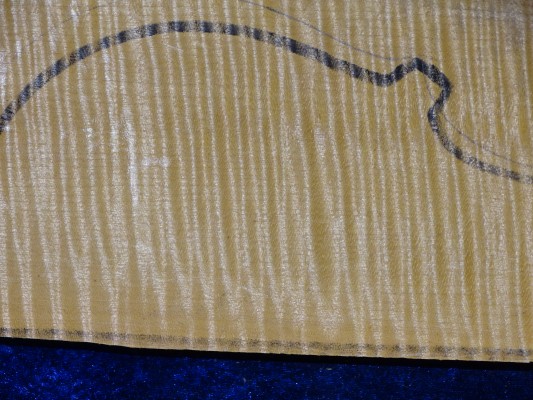 maple 4638 best quality