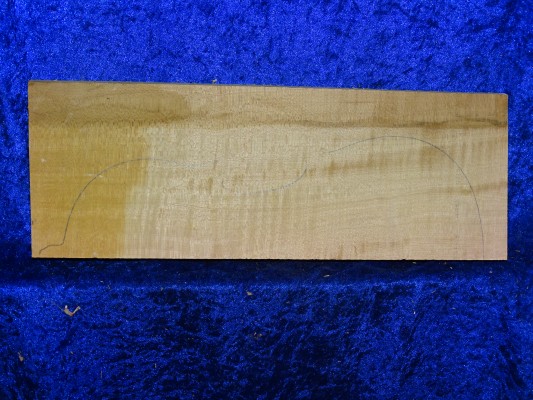 Ahorn 4468