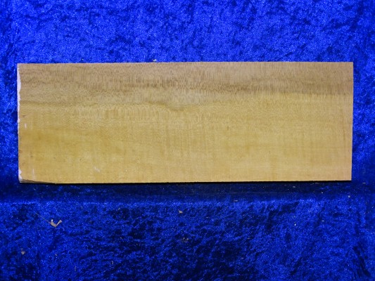 Ahorn 4468