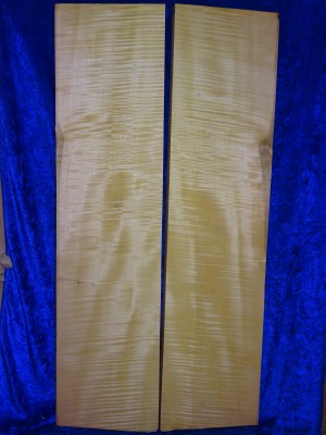 Ahorn 2885 Cello