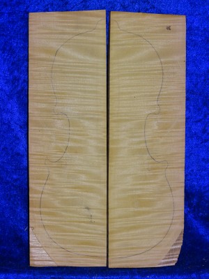 maple 3053 from estate