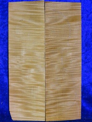 maple 3053 from estate