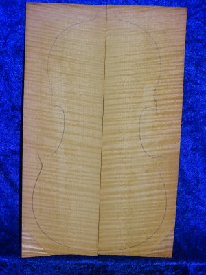 maple 3581 from estate