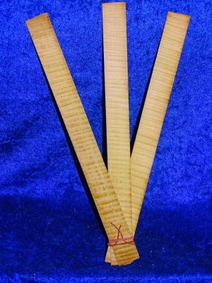 old Violinribs 3638