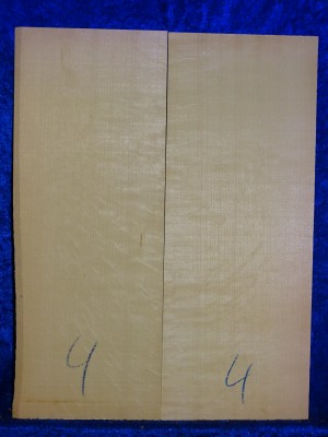 Fichte 3777 Gitarre Hasel