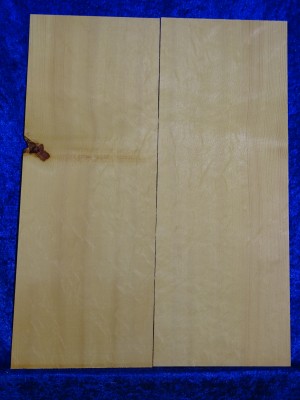 Fichte 4036 Gitarre Hasel