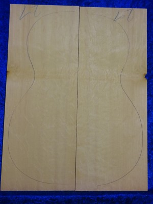Fichte 4036 Gitarre Hasel