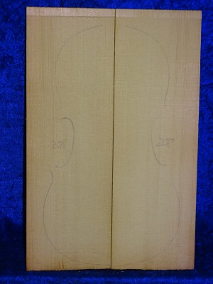 alte Fichte 1229 aus Nachlass