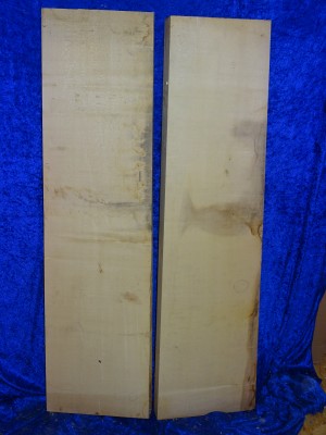 Ahorn 1526