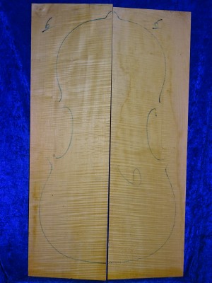 Maple 1706 Cello
