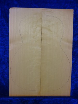 Fichte 1712 Gitarre Hasel