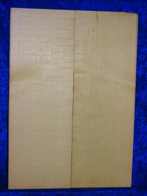 Fichte 1712 Gitarre Hasel