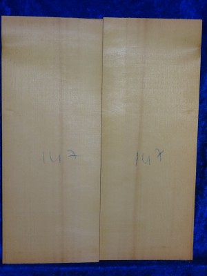 Fichte 2123 Gitarre