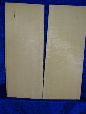 Spruce 2150 Guitar bearclaw