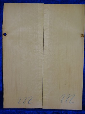 Spruce 2152 Guitar bearclaw