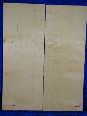 Spruce 2153 Guitar bearclaw