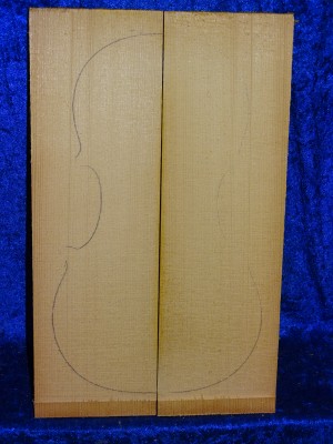 old spruce 2223 from estate