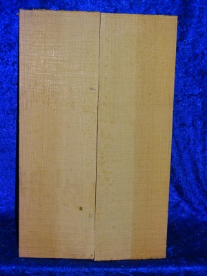 old spruce 2223 from estate