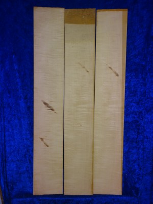 Celloribs 2343 from estate