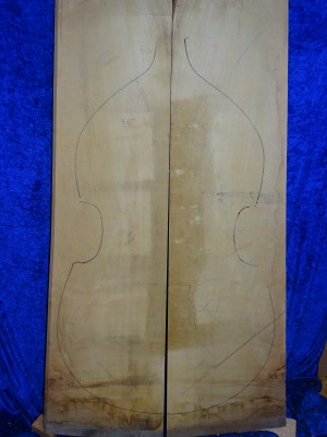 maple 2410