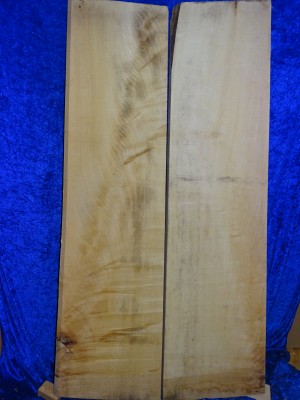 maple 2410